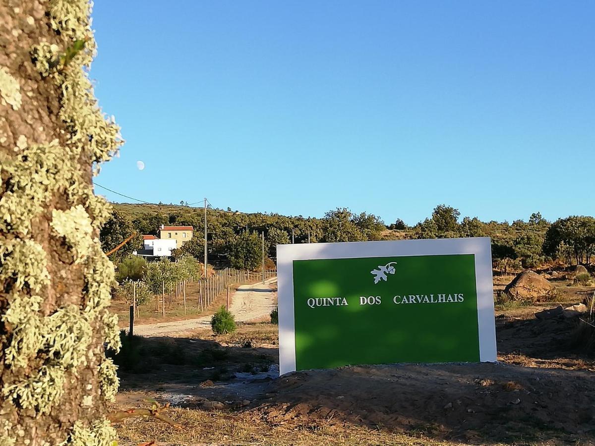 Quinta Dos Carvalhais - Serra Da Estrela Fornos de Algodres Eksteriør bilde