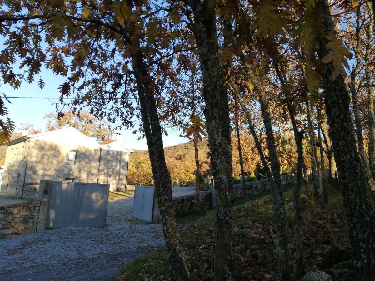 Quinta Dos Carvalhais - Serra Da Estrela Fornos de Algodres Eksteriør bilde