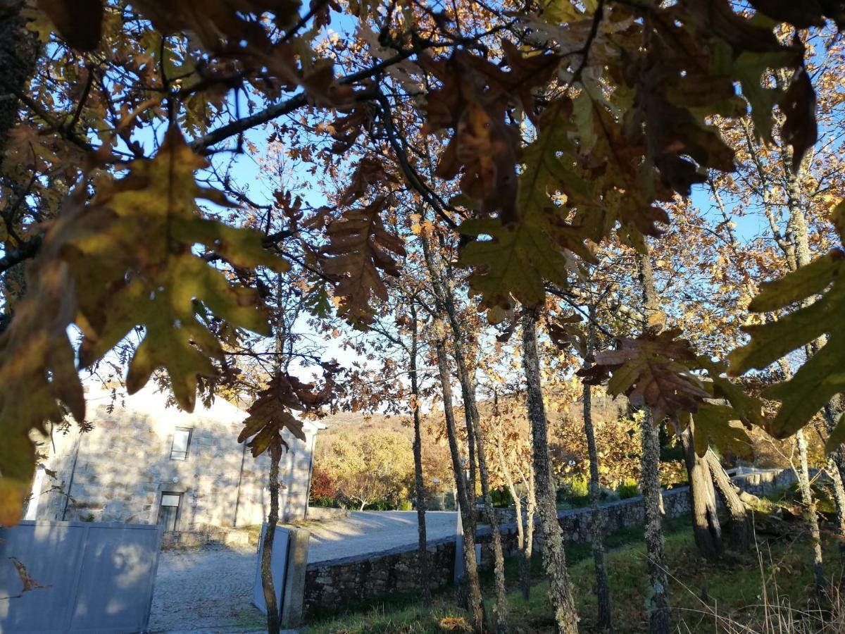 Quinta Dos Carvalhais - Serra Da Estrela Fornos de Algodres Eksteriør bilde