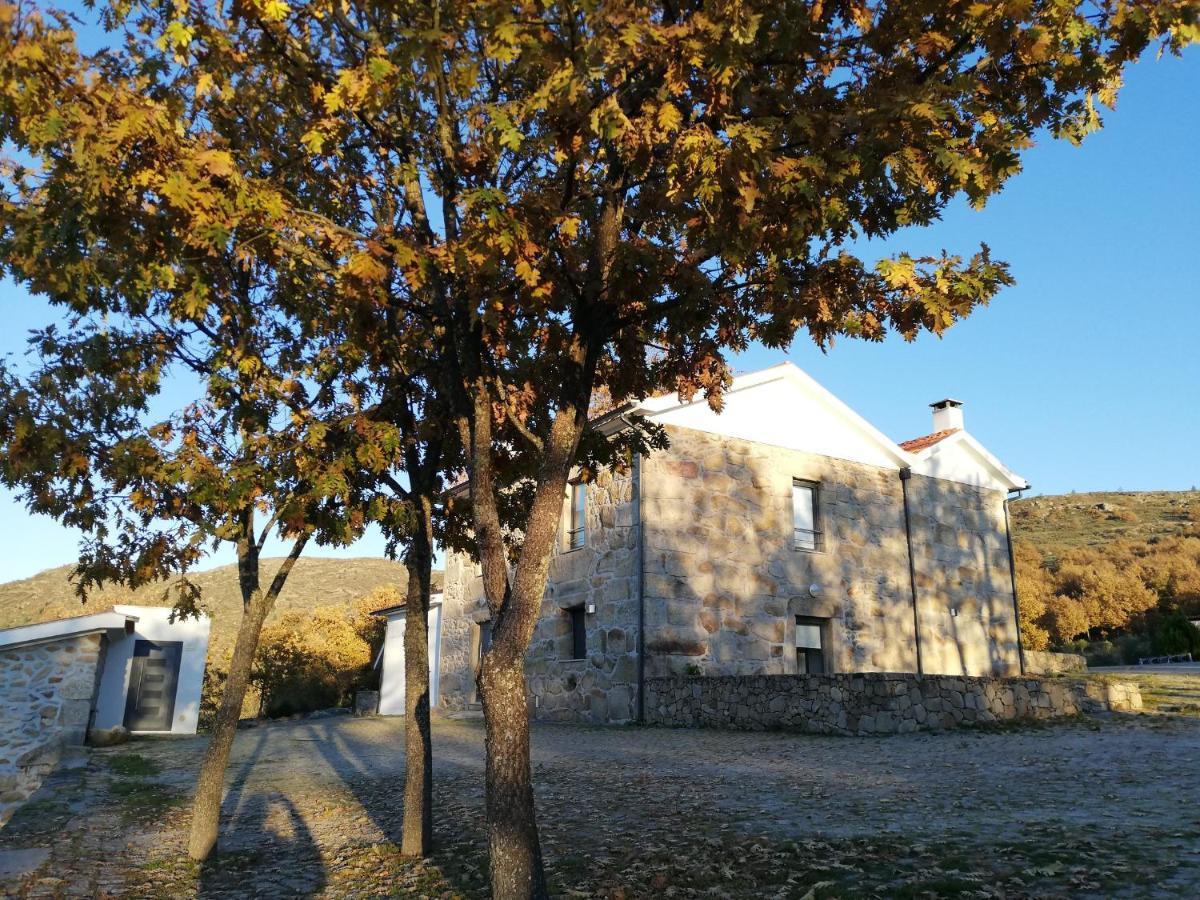 Quinta Dos Carvalhais - Serra Da Estrela Fornos de Algodres Eksteriør bilde