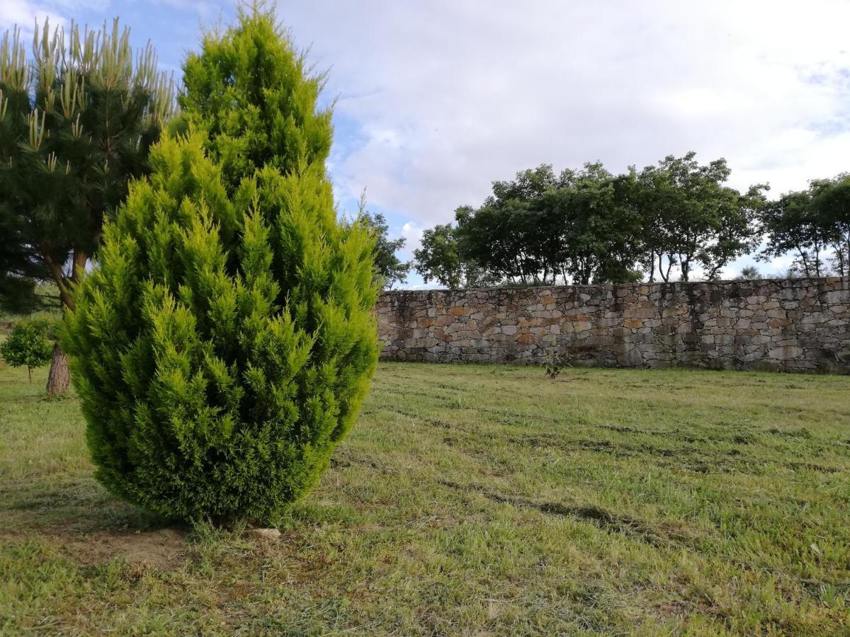 Quinta Dos Carvalhais - Serra Da Estrela Fornos de Algodres Eksteriør bilde
