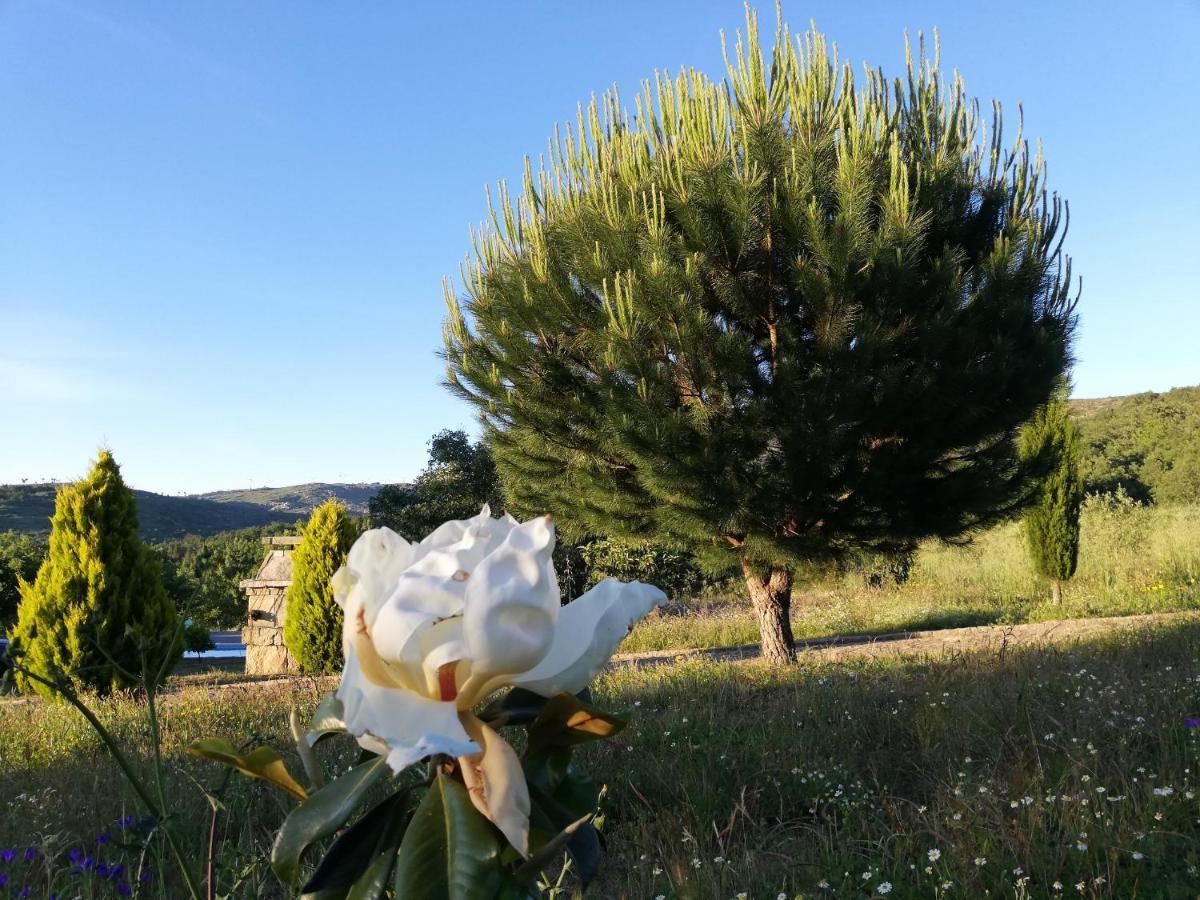 Quinta Dos Carvalhais - Serra Da Estrela Fornos de Algodres Eksteriør bilde