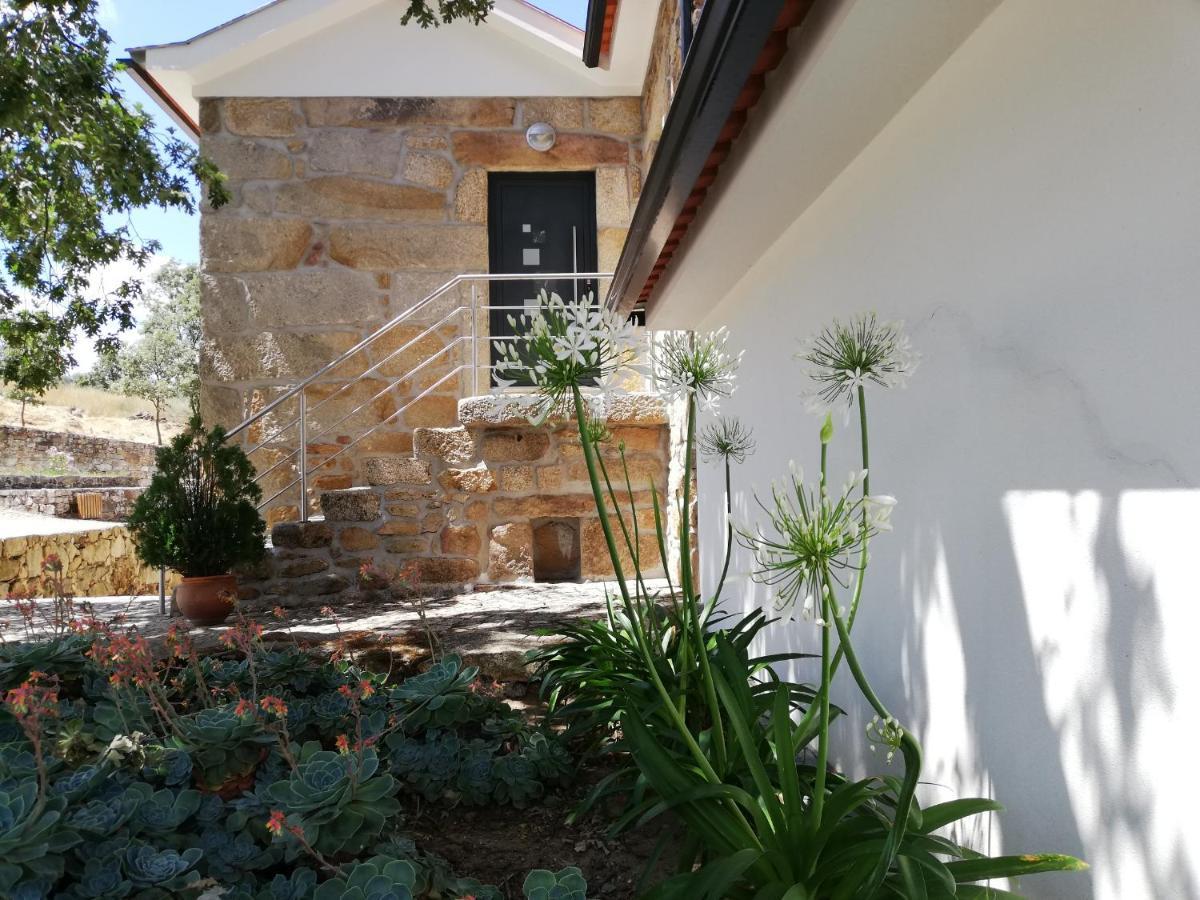 Quinta Dos Carvalhais - Serra Da Estrela Fornos de Algodres Eksteriør bilde