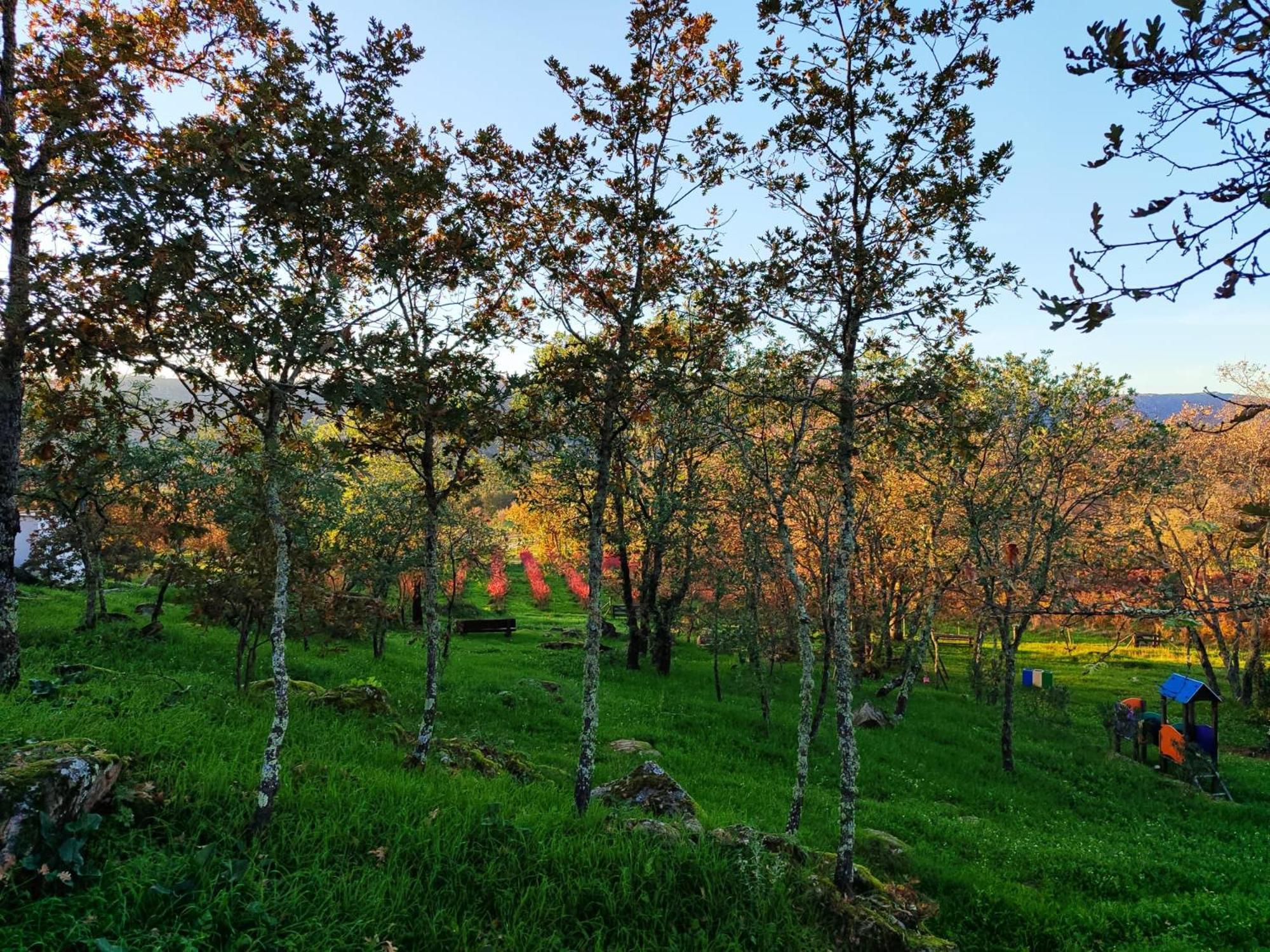 Quinta Dos Carvalhais - Serra Da Estrela Fornos de Algodres Eksteriør bilde