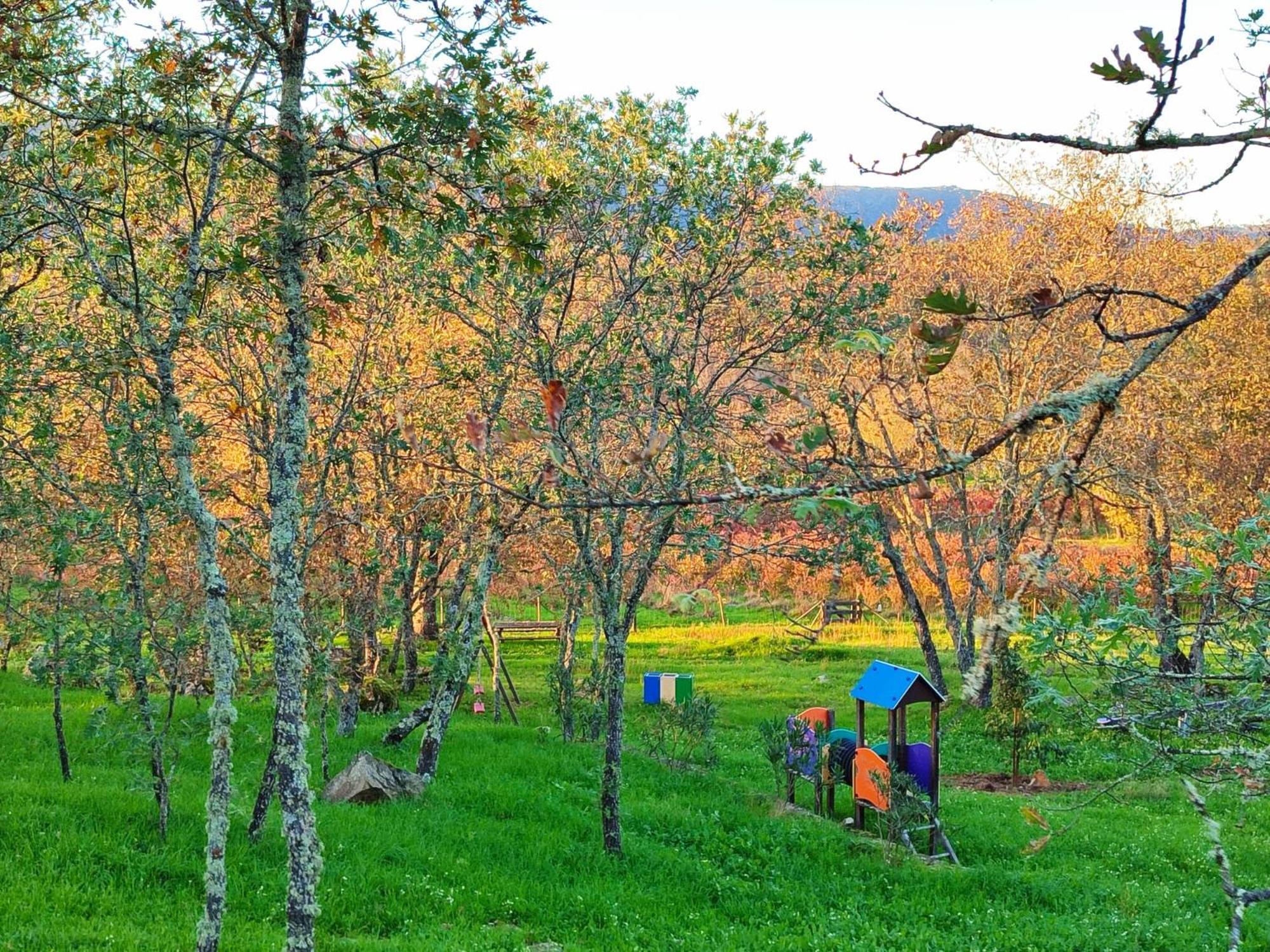 Quinta Dos Carvalhais - Serra Da Estrela Fornos de Algodres Eksteriør bilde