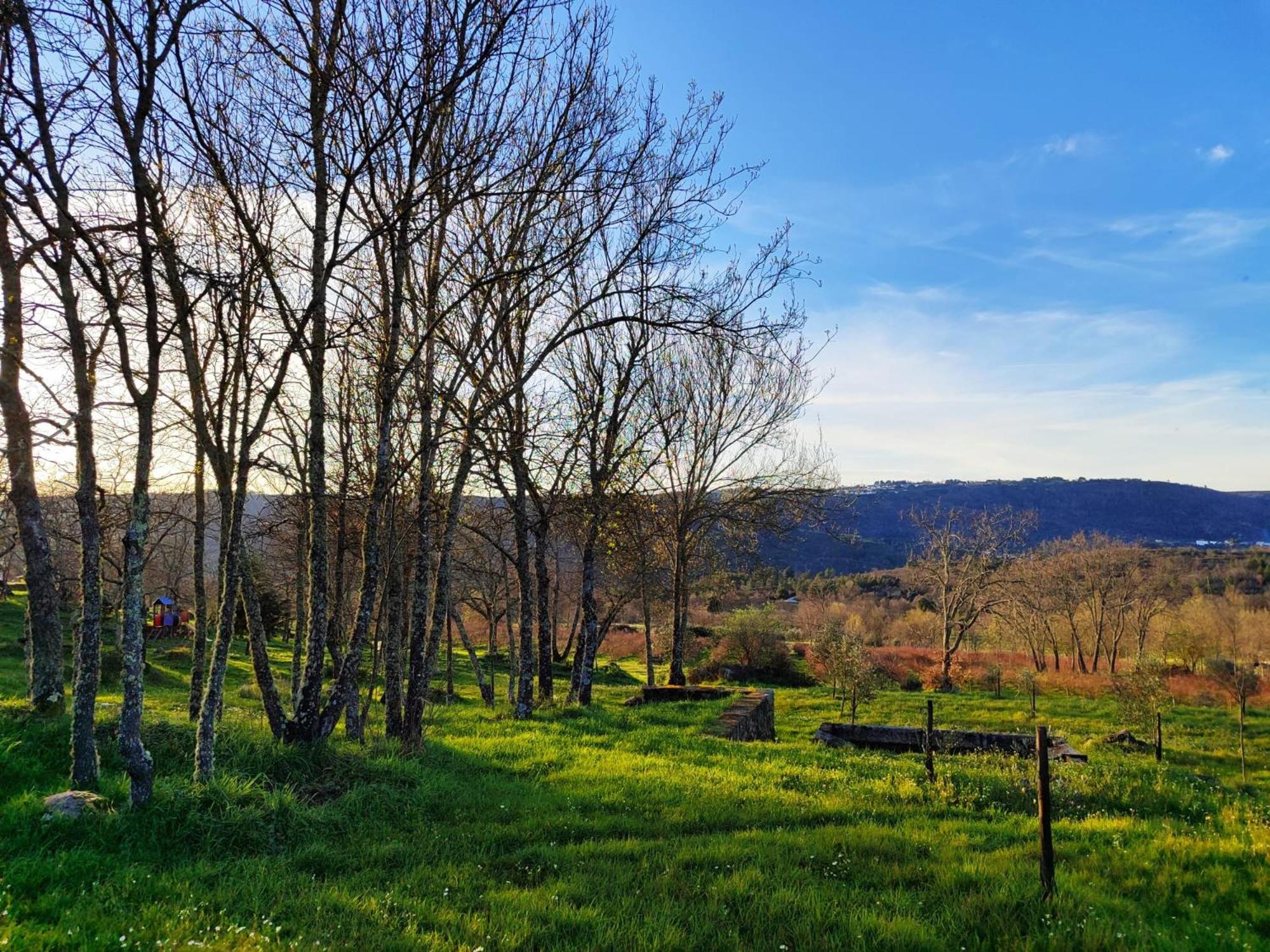 Quinta Dos Carvalhais - Serra Da Estrela Fornos de Algodres Eksteriør bilde