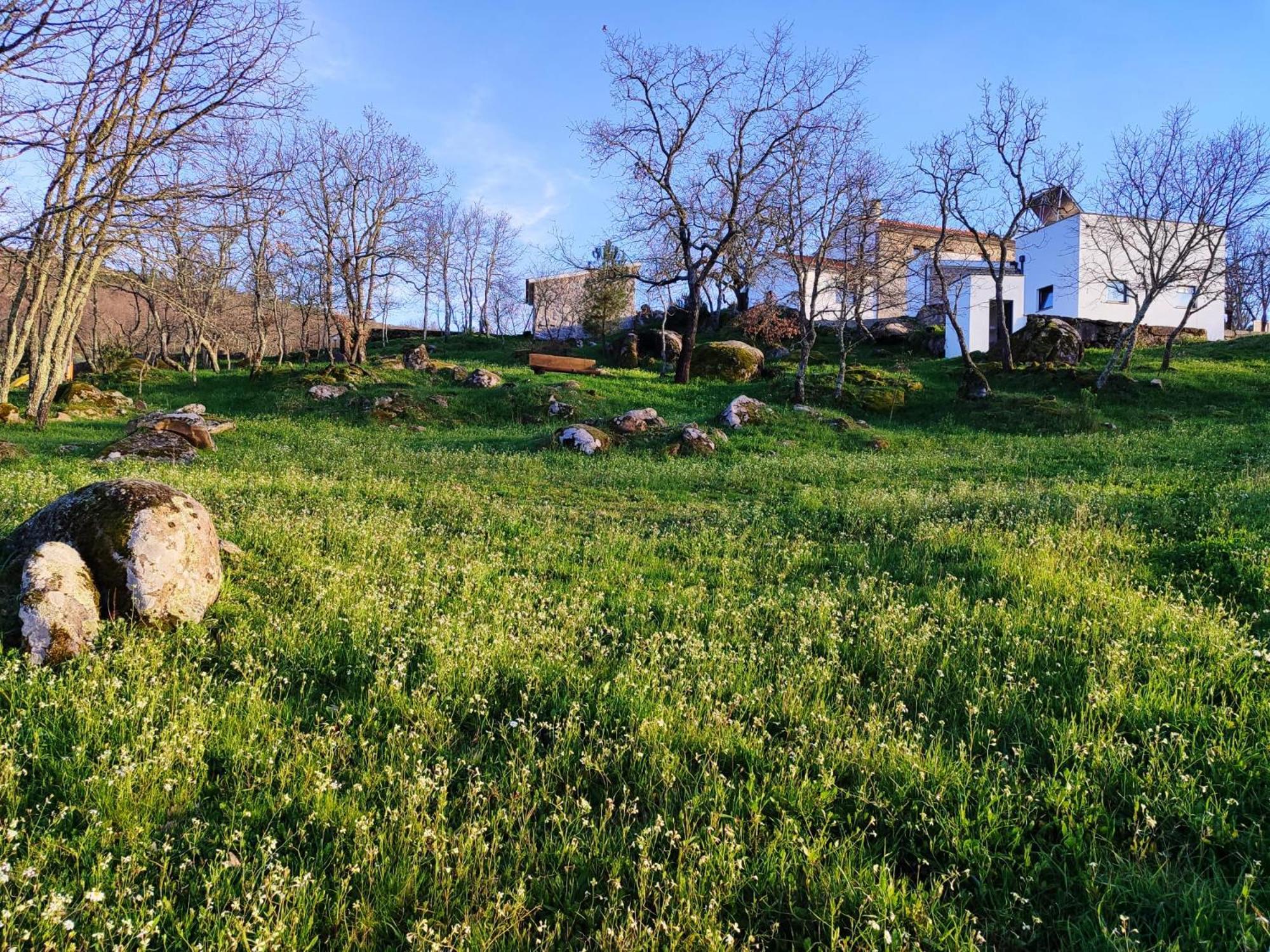 Quinta Dos Carvalhais - Serra Da Estrela Fornos de Algodres Eksteriør bilde