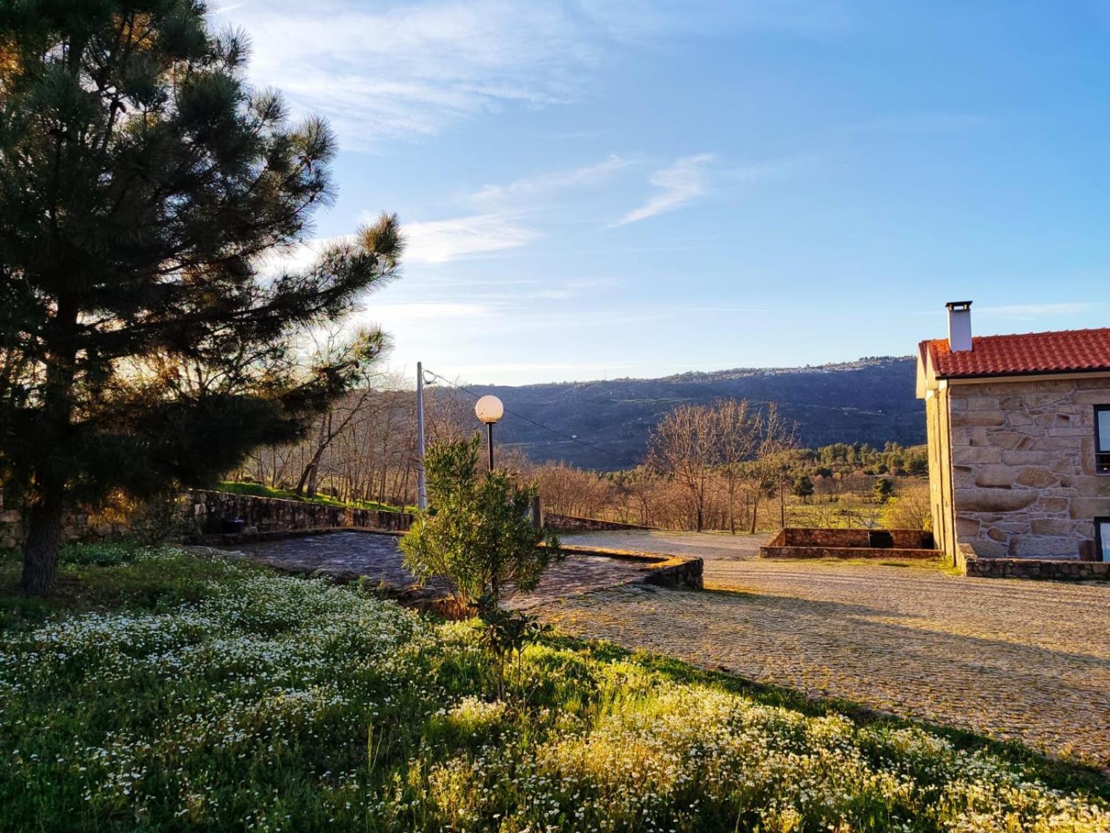 Quinta Dos Carvalhais - Serra Da Estrela Fornos de Algodres Eksteriør bilde