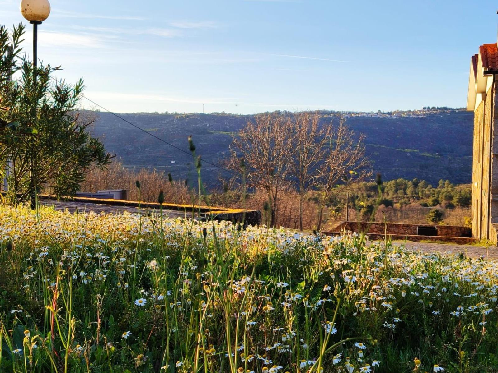 Quinta Dos Carvalhais - Serra Da Estrela Fornos de Algodres Eksteriør bilde