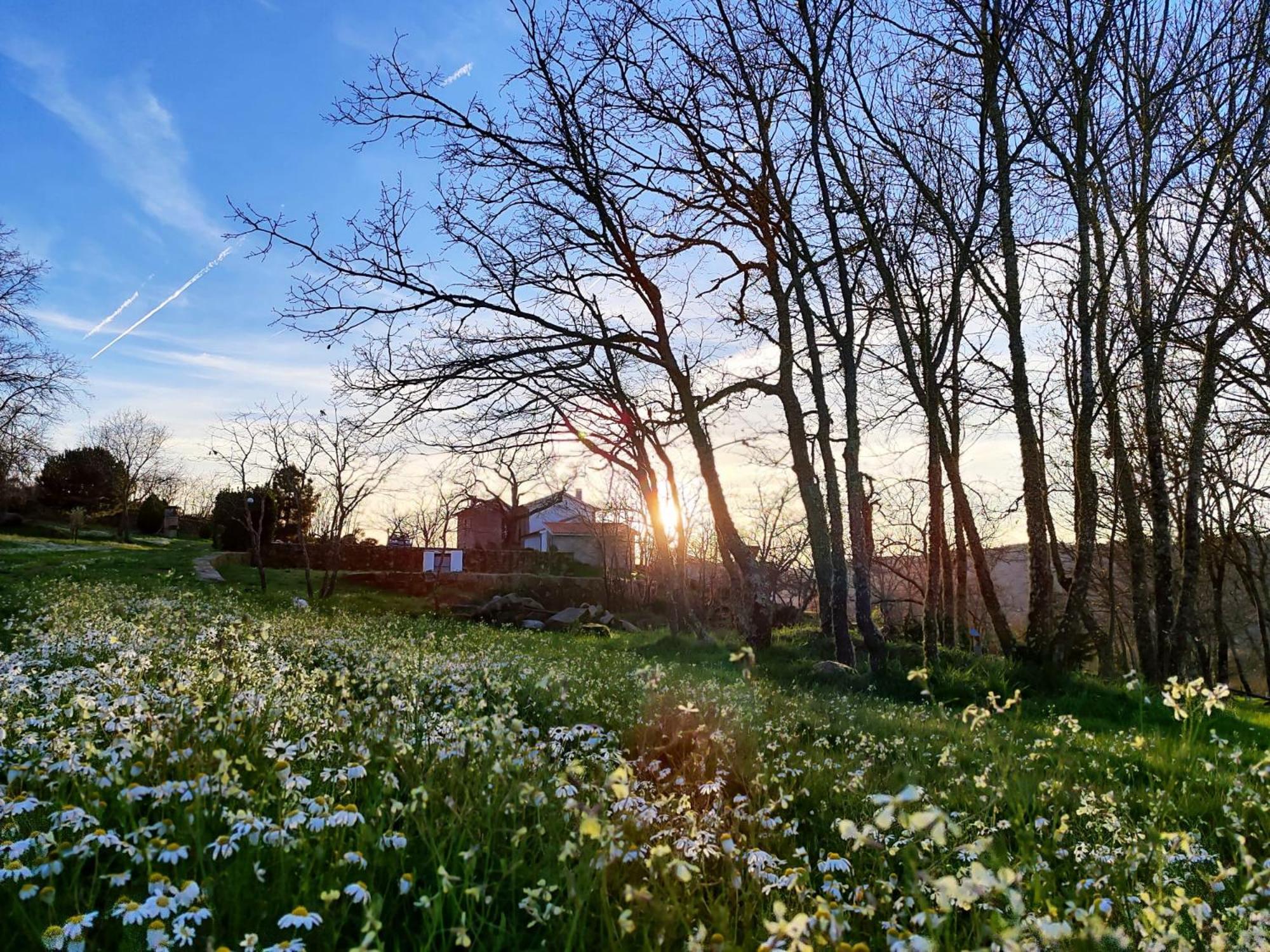 Quinta Dos Carvalhais - Serra Da Estrela Fornos de Algodres Eksteriør bilde