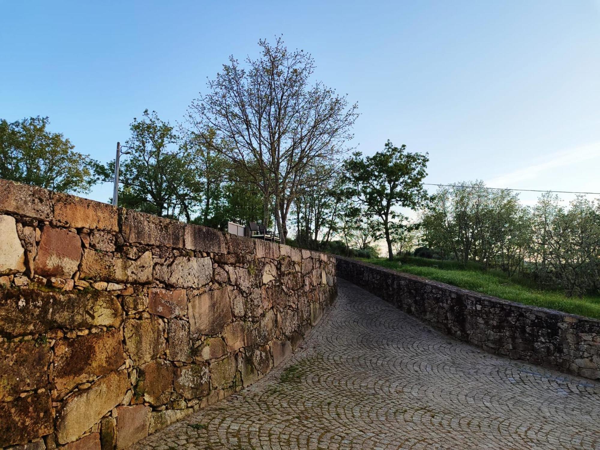 Quinta Dos Carvalhais - Serra Da Estrela Fornos de Algodres Eksteriør bilde